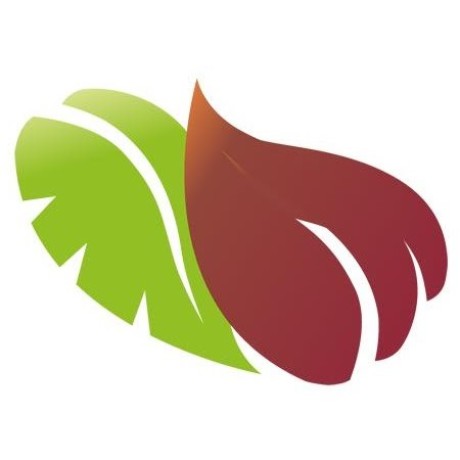 Devlab V2 Github - Download Premium Vintage Wallpaper | High Resolution