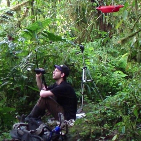 Xboxfanj Jake Weinstein Github - Nature Textures - Ultra HD Full HD Collection