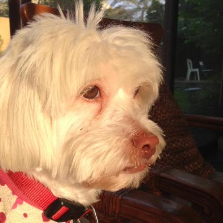 Legacy Console Sounds Minecraft Mod - Premium Geometric Illustration Gallery - Desktop