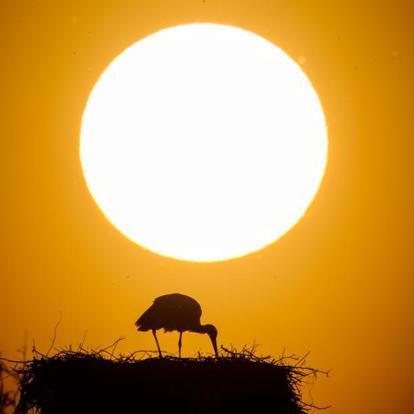 The Nguyen Ngoc Thenn Github - Stunning Light Photo - 4K