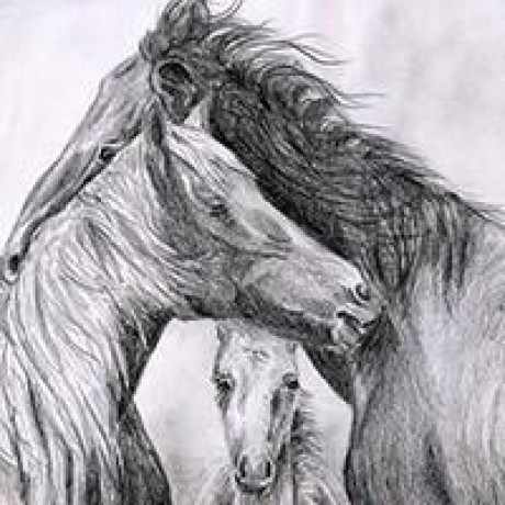 Tomerzur Tomer Zur Github - Mountain Arts - Modern HD Collection