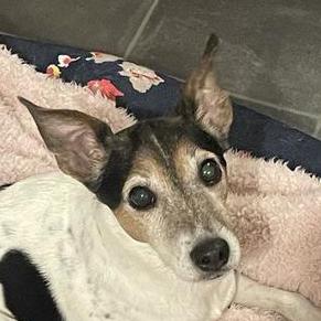 Hmp 1990 Github - Ultra HD Light Patterns for Desktop