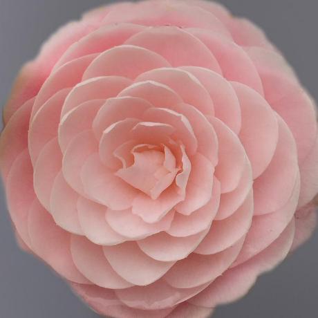 Stealthcode Aubrey Github - Best Nature Photos in Mobile