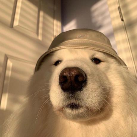 Github Anyamaneejanthama Test30 - Download Elegant Ocean Design | Desktop