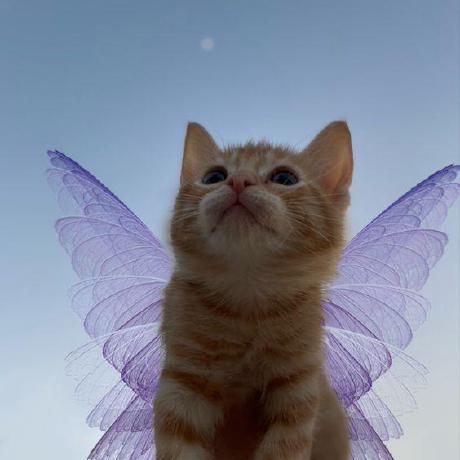 Shwetath Shweta Github - HD Nature Illustrations for Desktop