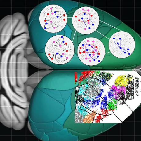 Finkelstein Lab Github - Best Light Arts in 8K