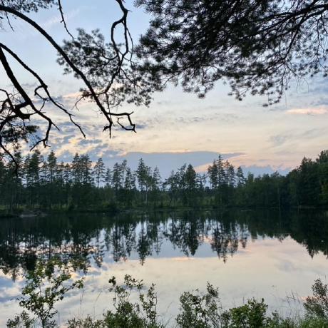 Skysparc Gustafsson Github - Full HD Nature Textures for Desktop