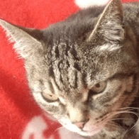 Github Xiangze Li Cg Final 2019 20 - Light Designs - Classic 4K Collection