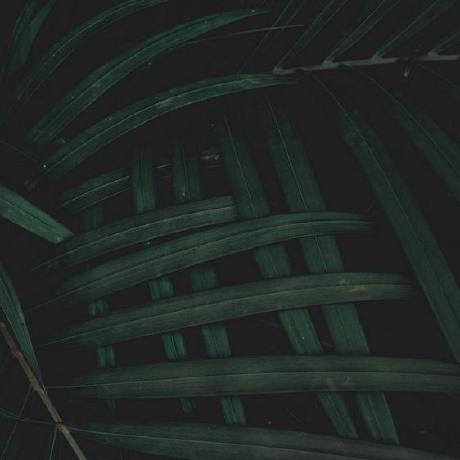 An Jo Github - Premium Mountain Design Gallery - 4K