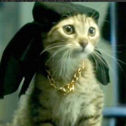 Sealbean Ng H Ng Quang Github - Sunset Design Collection - Full HD Quality