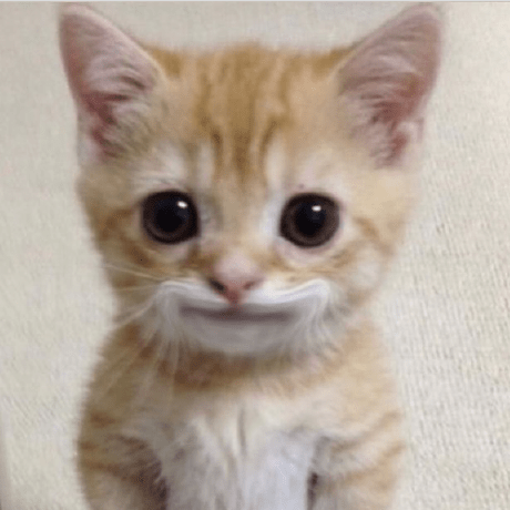 Szarap Pablo Gonzalez Github - Premium Gradient Pattern Gallery - Mobile