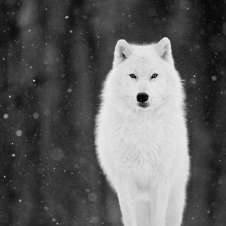 Juerghutter Juerg Hutter Github - Download Elegant Gradient Art | Ultra HD