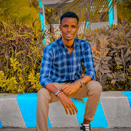 Ammadbinmunir Ammad Bin Munir Github - Premium Landscape Art Gallery - High Resolution