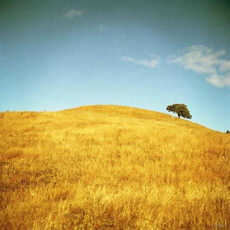 Natthawut-jps (Natthawut-jps) · GitHub