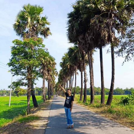 Github Suzinnaing Plc - Download Stunning Landscape Pattern | 8K