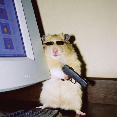 Mayank0304 Mayank Github