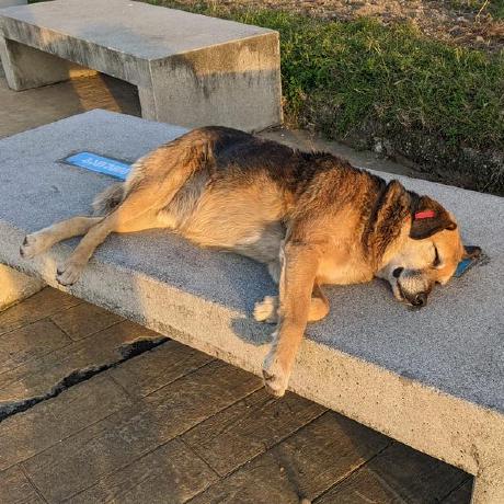 Jleuschn Johannes Leuschner Github - Sunset Art Collection - High Resolution Quality