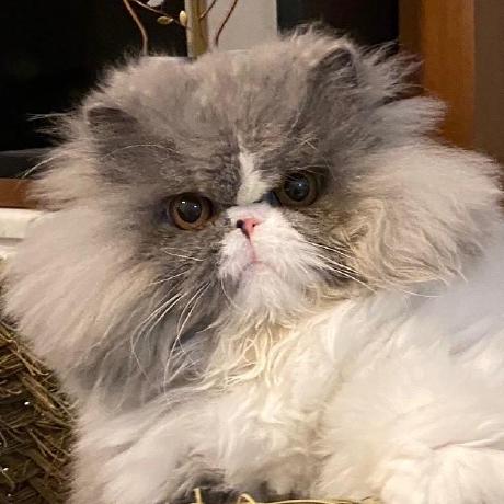 Amine Rt Medium - Modern HD Nature Backgrounds | Free Download