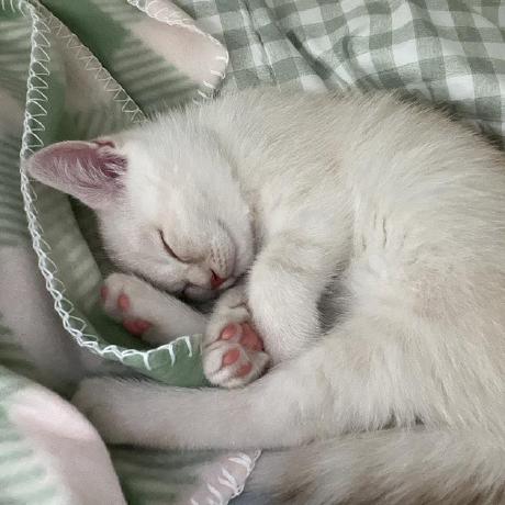 Yeonhaparkcenacle Park Yeonha Github - Download Ultra HD Mountain Photo | HD