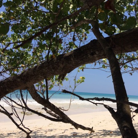 Kotori 521 Github - Modern 8K City Designs | Free Download