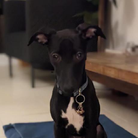 Github Richard Petty Cru Modulo6test Modulo6test - Perfect 8K Mountain Photos | Free Download