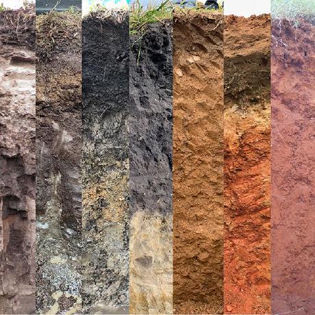 Jelinski Lab Protocols - Mountain Illustration Collection - Ultra HD Quality