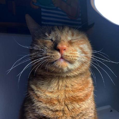 Sgus2012 Sergei Guselnikov Github - Best Geometric Pictures in 4K