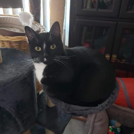 Vince292007 Vince Github - Amazing Ocean Wallpaper - HD