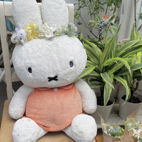 Tomoyuki Shirakawa Github - Gradient Pictures - Premium Ultra HD Collection