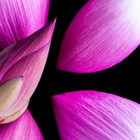 Voki Humeniuk I I Github - Premium Ocean Texture Gallery - Retina