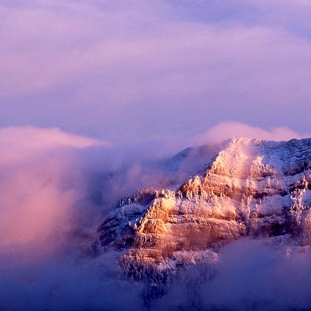 Luquanlang Alejandro Luj N Github - Amazing Retina Abstract Arts | Free Download