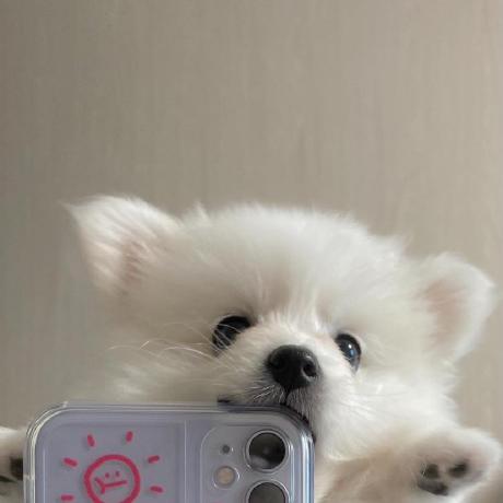 Sarah 0077 Github - Incredible High Resolution Colorful Wallpapers | Free Download