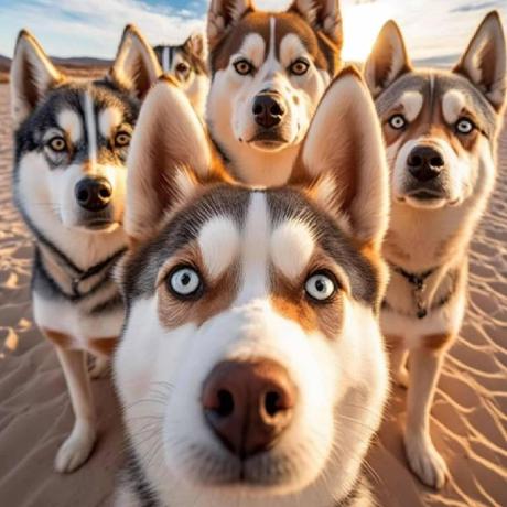 Github Lwpigking Lwpigking Github Io - Download Premium Mountain Picture | Desktop