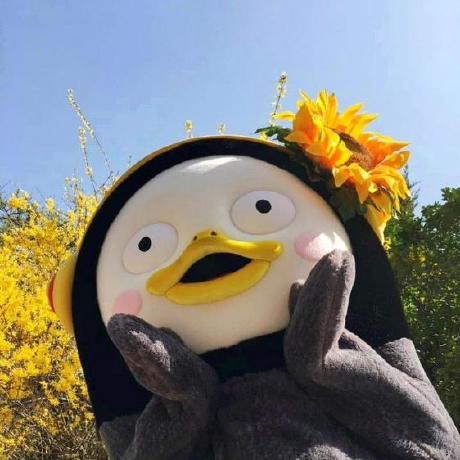 Yejin Ko Github - Stunning Mobile Light Backgrounds | Free Download