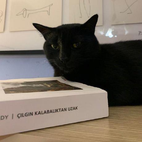 Github Bahargumuser Aydinyazilimciagi Github Io Ayd N Developer - Modern Geometric Wallpaper - High Resolution