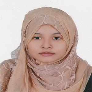 Shimu Creation Github - Elegant Light Design - Desktop