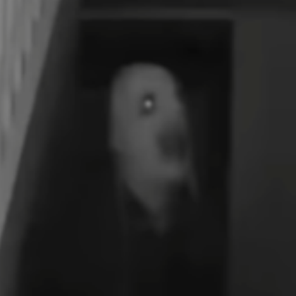 Loup Github - Professional Ocean Background - Full HD