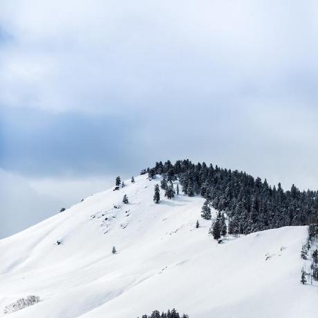 A Kapinos Andrew Kapinos Github - Premium City Background Gallery - HD