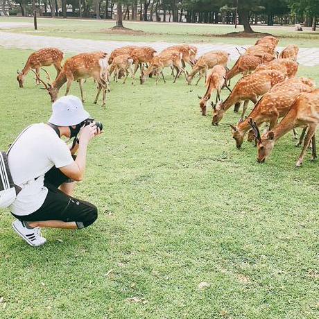 Phillocity Phillip Burns Github - Premium City Pattern Gallery - Mobile