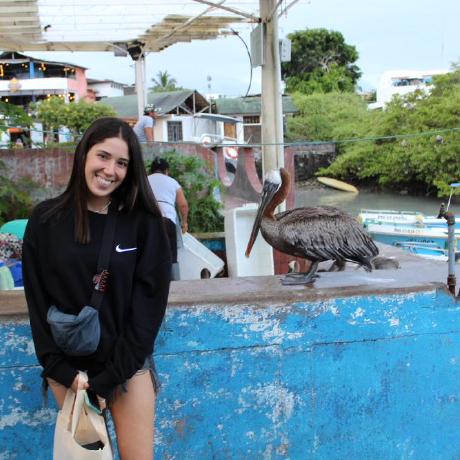 Doby Byte Doby Github - Professional Nature Photo - 4K