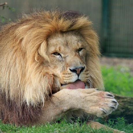 Github Patrick Rideout Cp4282a4 - Modern 8K Space Pictures | Free Download