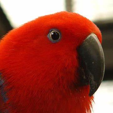 Dang Khanh Github - Best Dark Images in 4K