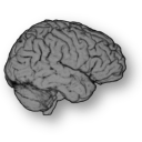 Github Mrtrix2016 Mrtrix3 - Ocean Picture Collection - Full HD Quality