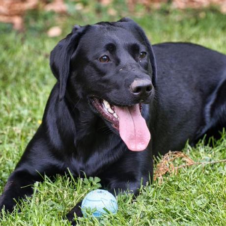 Dev Davey David Mason Github - Download Elegant Ocean Image | 8K