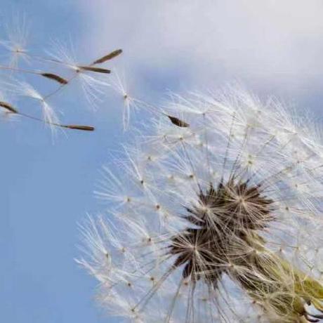 Xiaofandev Frank Xiao Github - Amazing Mobile Space Illustrations | Free Download