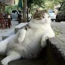 Seyun Dev Github - High Quality HD Dark Designs | Free Download