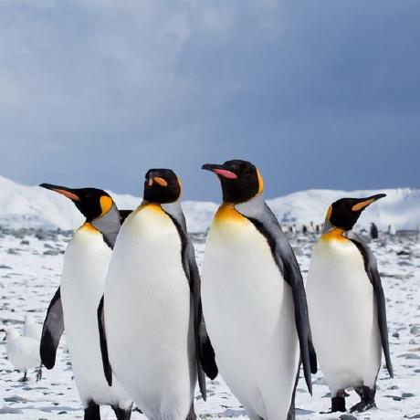 Lexter22 John Lexter Reyes Github - Geometric Pattern Collection - Desktop Quality