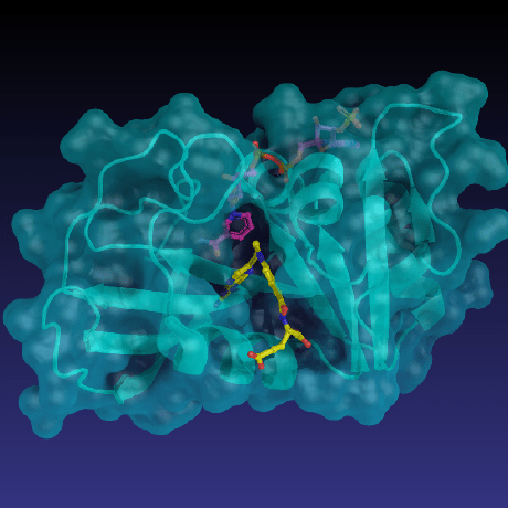 Github Uvezero Ocular Imaging This Is A Repository For The Code Of - Mobile Gradient Designs for Desktop