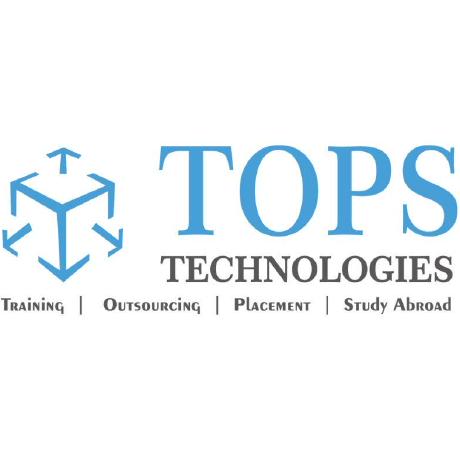 T Tops Github - Sunset Illustration Collection - 8K Quality