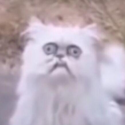 Github Jvav Runtime Environment Une - Space Photo Collection - HD Quality